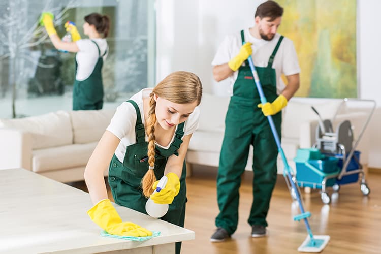 Cleaning Services